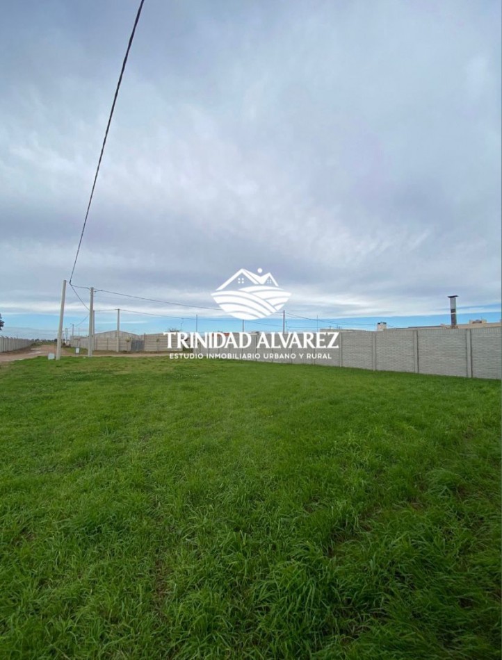 TERRENO EN VENTA