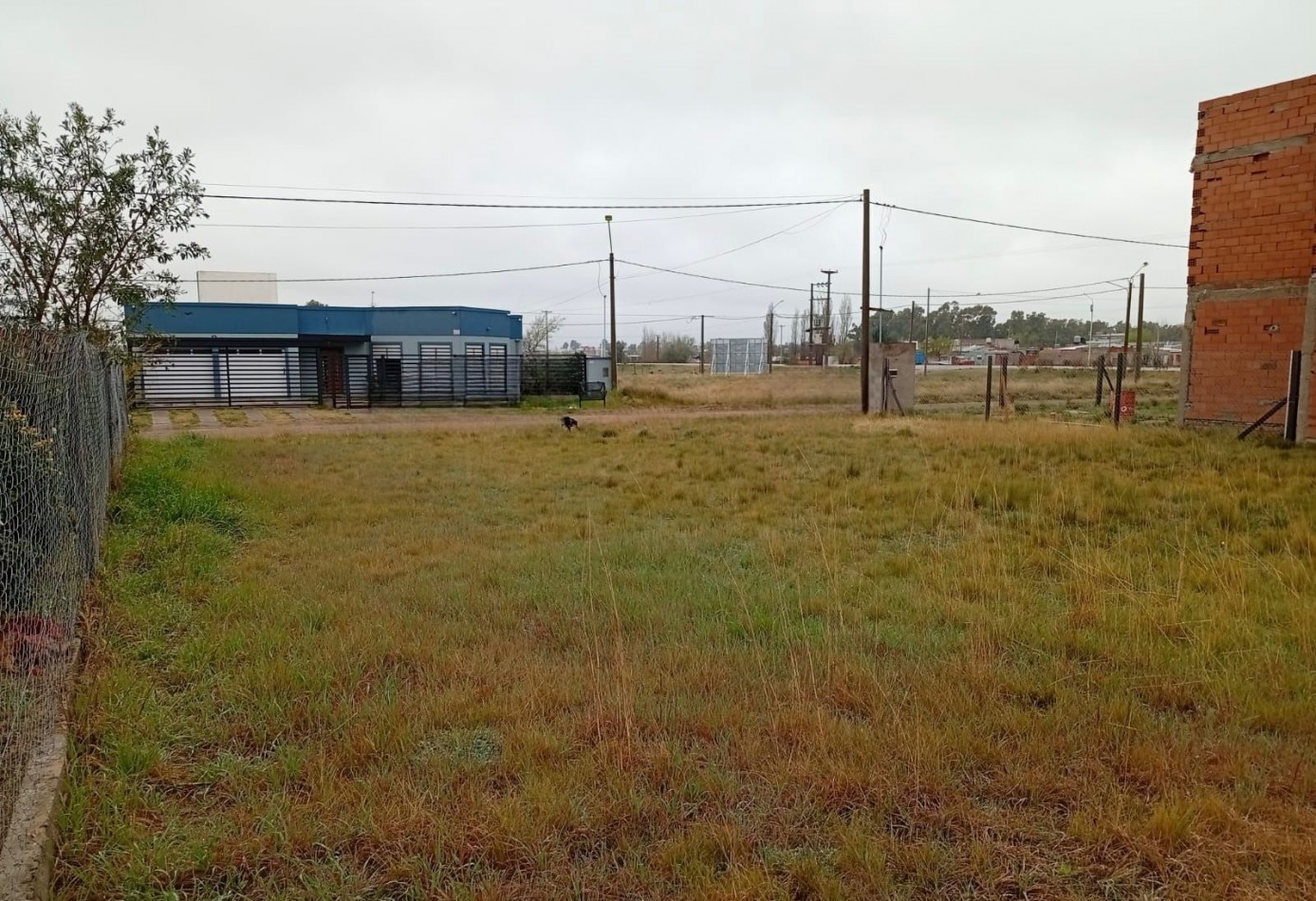 TERRENO EN VENTA, LAS CAÑITAS II