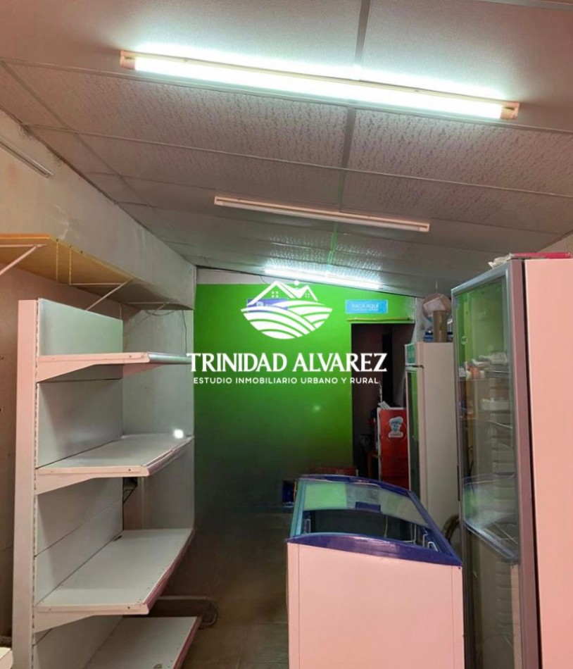 CASA + LOCAL COMERCIAL EN VENTA