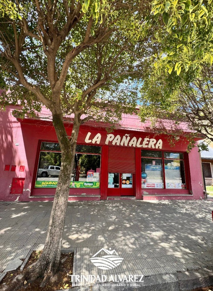 LOCAL COMERCIAL + DEPOSITOS