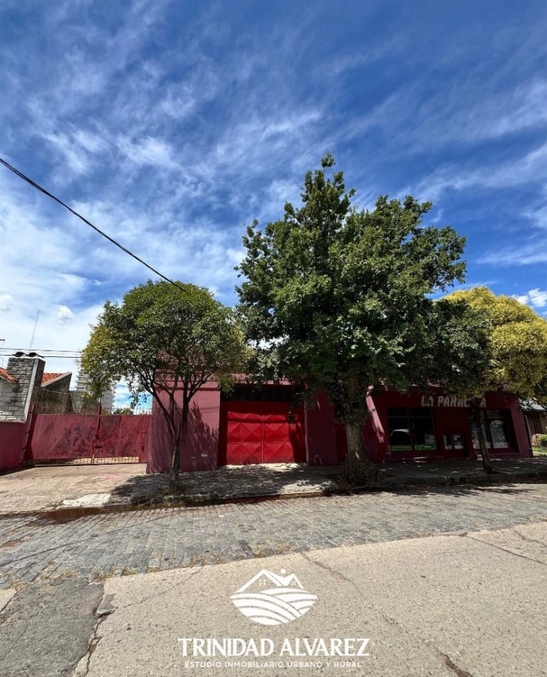 LOCAL COMERCIAL + DEPOSITOS