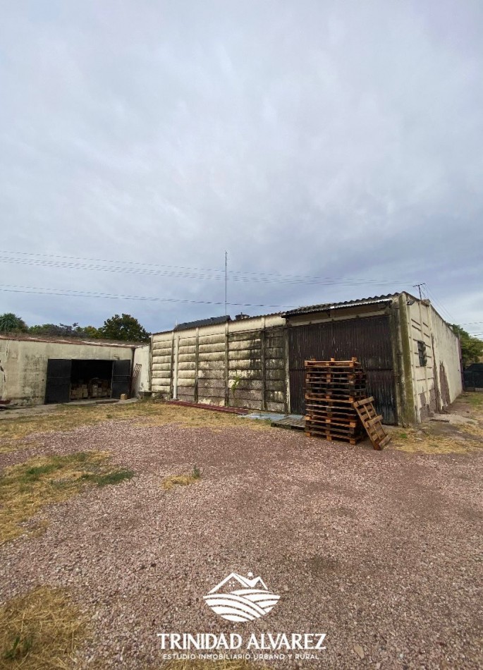 LOCAL COMERCIAL + DEPOSITOS