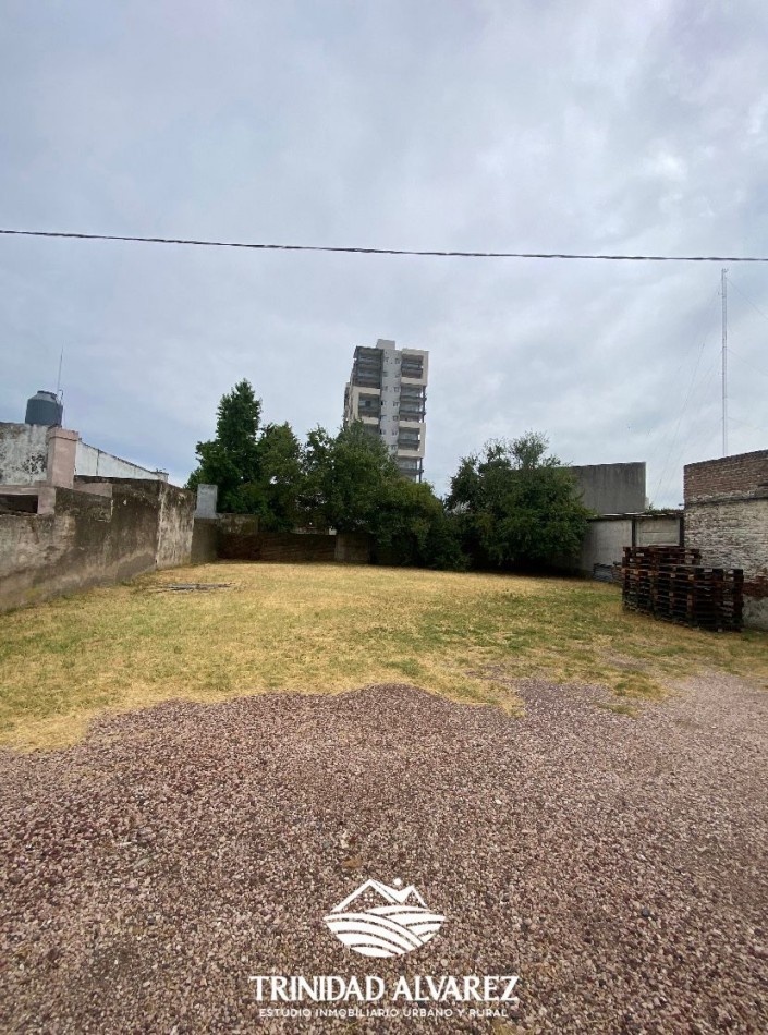 LOCAL COMERCIAL + DEPOSITOS