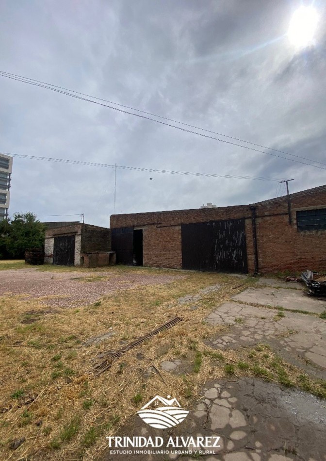 LOCAL COMERCIAL + DEPOSITOS