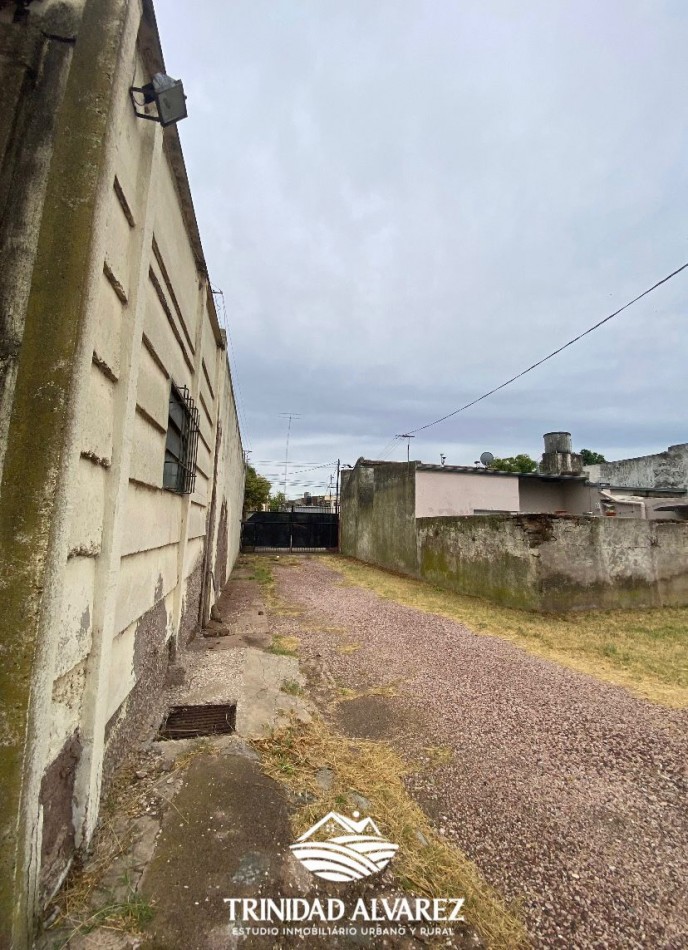 LOCAL COMERCIAL + DEPOSITOS