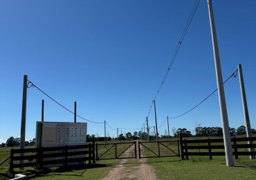 AYRES DE CAMPO
