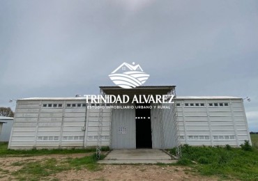 GALPON + OFICINAS EN VENTA  